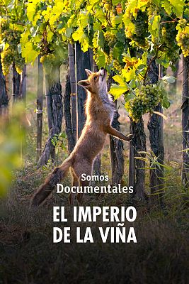 Somos Documentales - El imperio de la viña