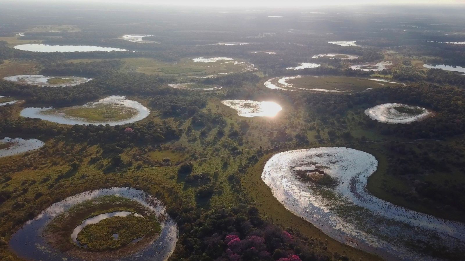 Somos documentales - El pantanal. El milagro natural de Brasil