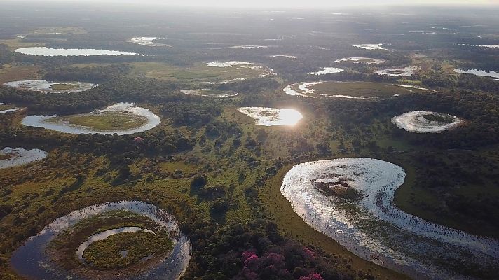 El pantanal. El milagro natural de Brasil