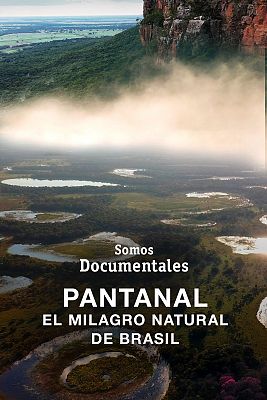 El pantanal. El milagro natural de Brasil