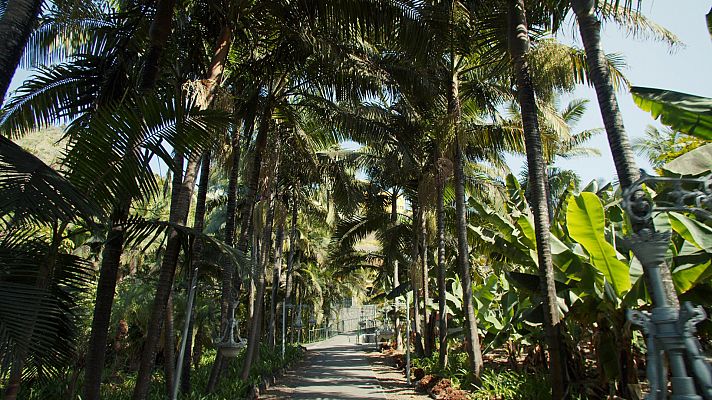 Las Palmas - Jardin de la Marquesa de Arucas y P. Municipal