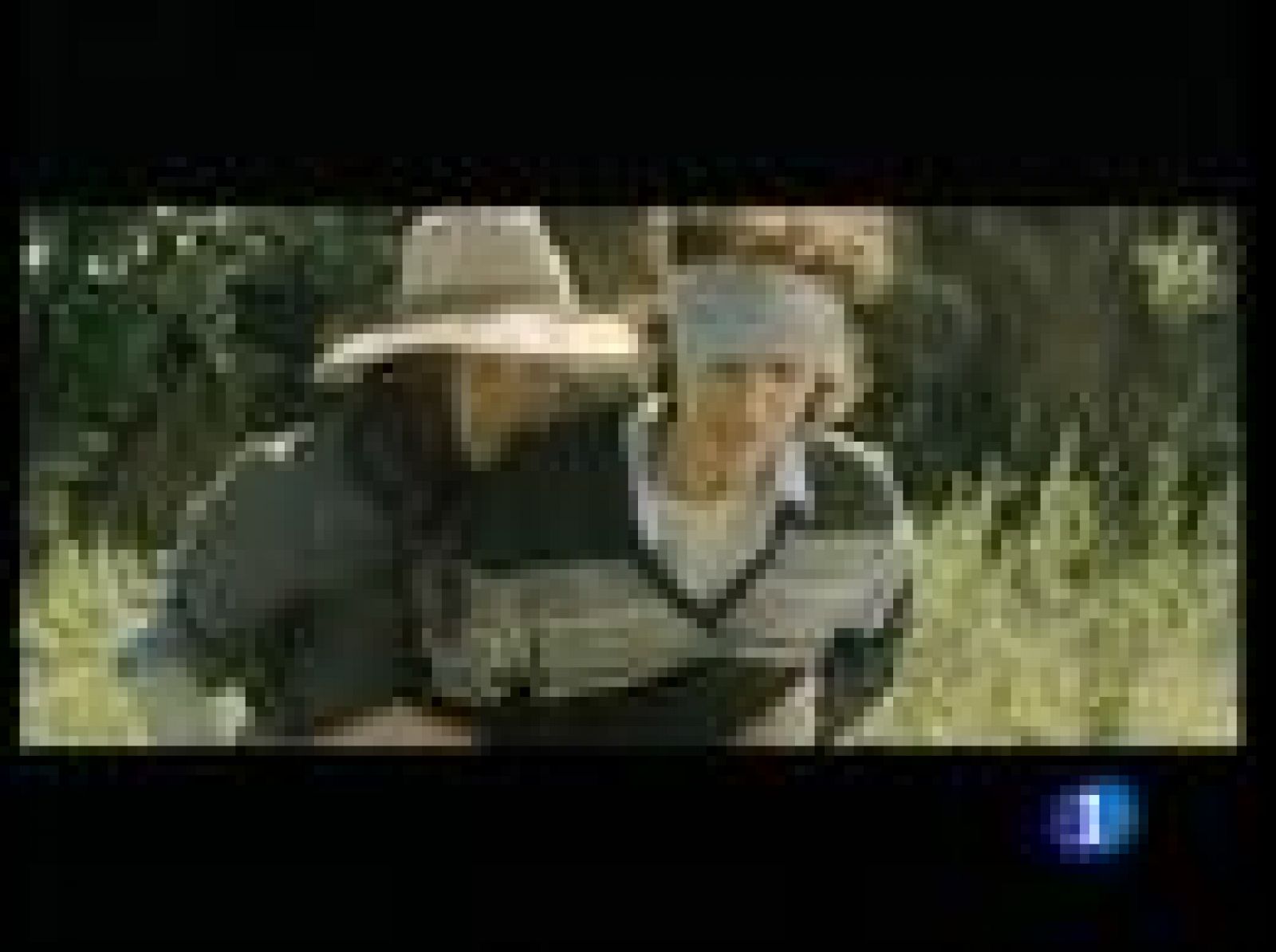 En los estrenos de la semana encontramos, sobre todo, historias de amor | Ver