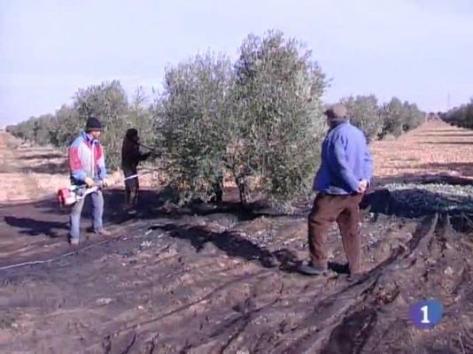 Noticias de Castilla-La Mancha - Noticias de Castilla-La Mancha - 12/02/10