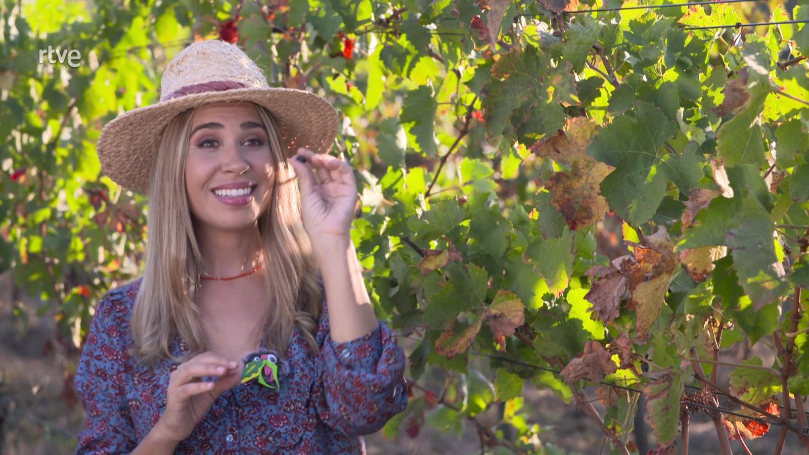 Va de verd - Anem de verema - Veure ara