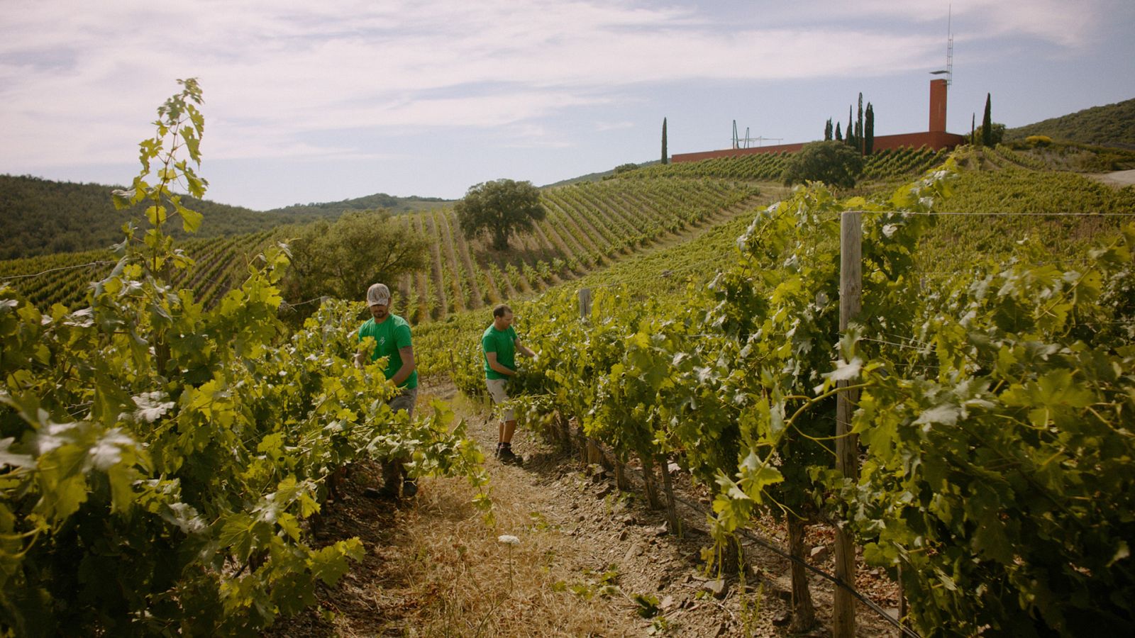 La Italia que gusta - Episodio 2: Una experiencia gastronómica - ver ahora