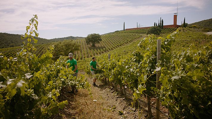 La Italia que gusta - Una experiencia gastronómica