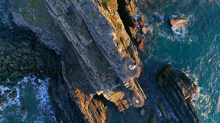 Somos documentales - Portugal, una tierra salvaje al borde del mar - ver ahora