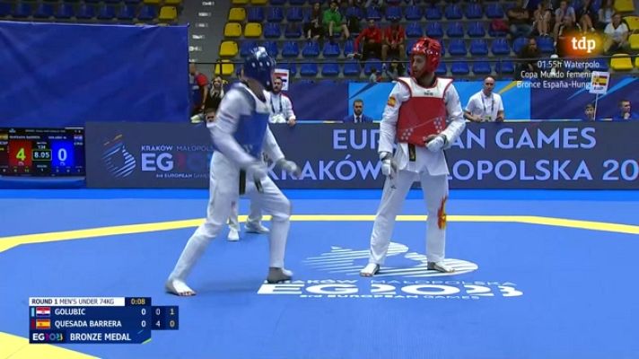 Taekwondo Finales