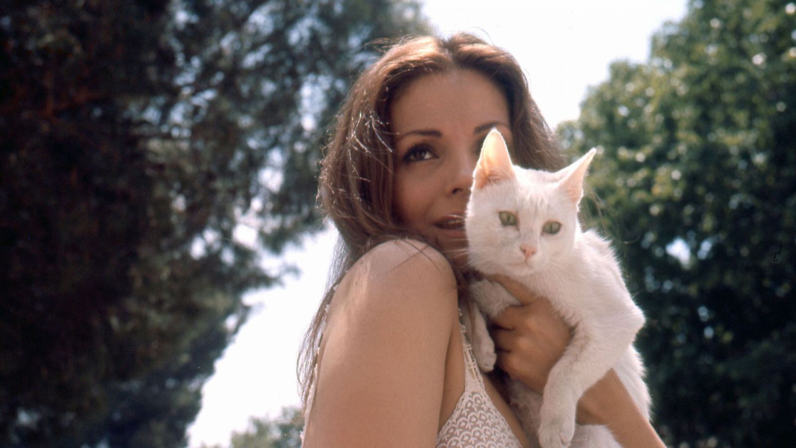 Carmen Sevilla, una artista todoterreno: música, televisión, cine, cosechó grandes éxitos - Ver ahora