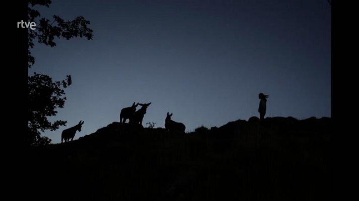 La aventura del Saber - Brujas