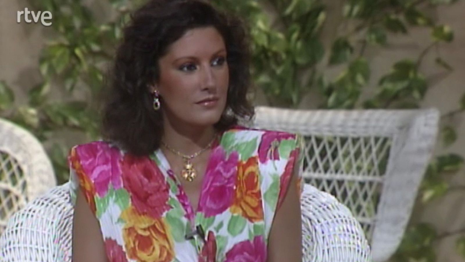 Un verano tal cual - 15/7/1988 - Un verano tal cual | Ver