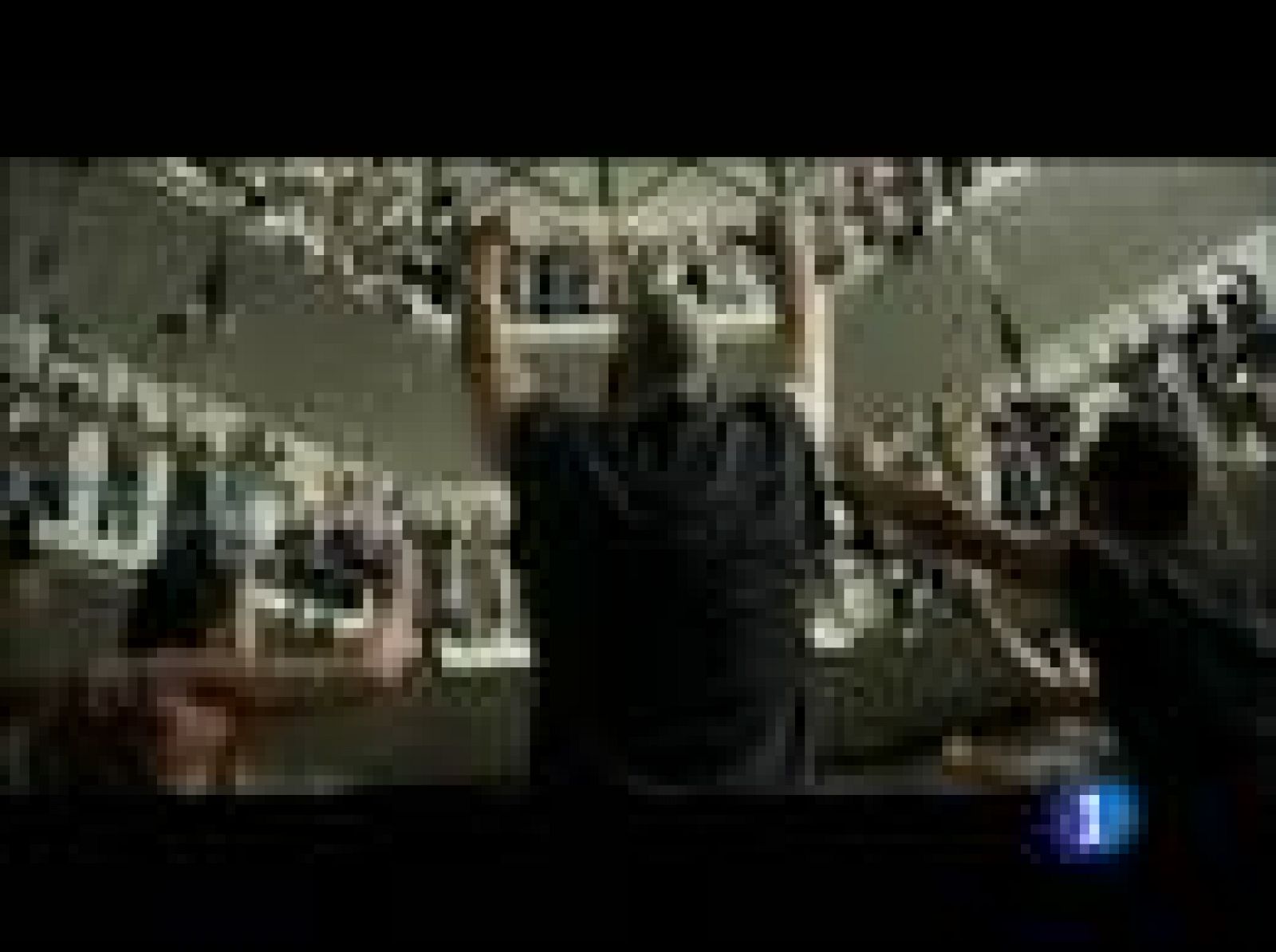 Faltan solo dos dias para que se entreguen los Premios Goya | Ver