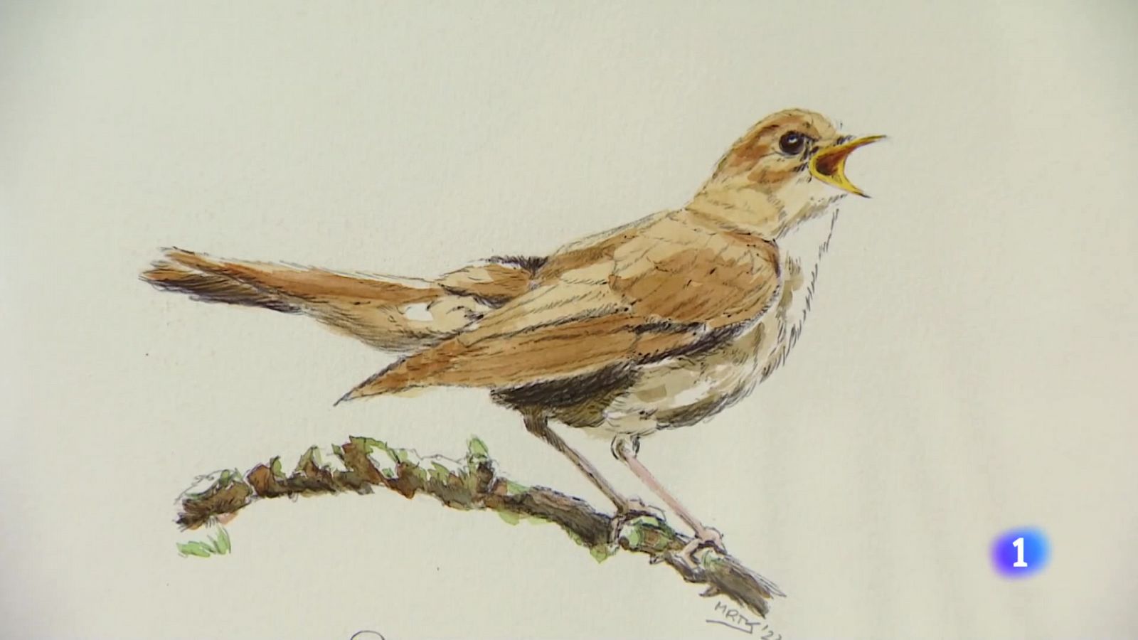 Informativo Telerioja  - 29/06/23 - Ver ahora