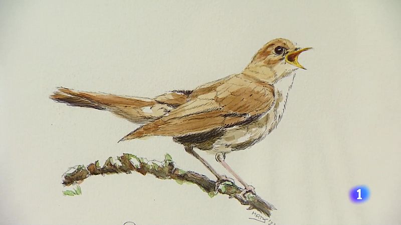 Informativo Telerioja  - 29/06/23 - Ver ahora