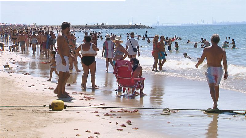 Un verano de récord - Ver ahora