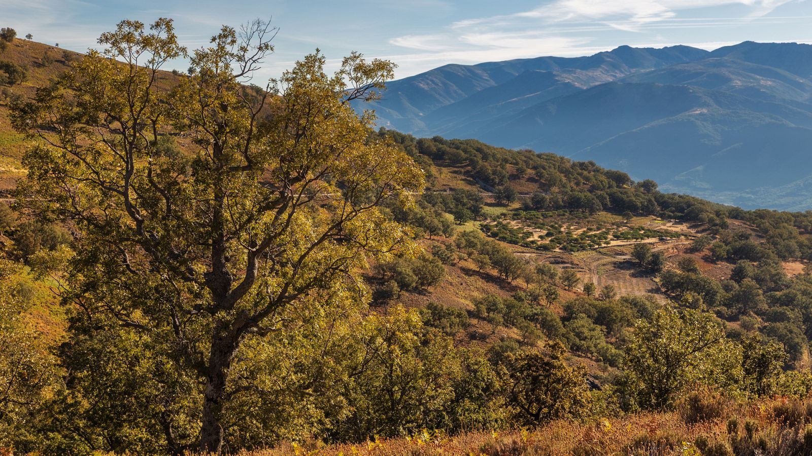 Turismo rural en el mundo - Extremadura: Ambroz y Tierras de Granadilla - ver ahora