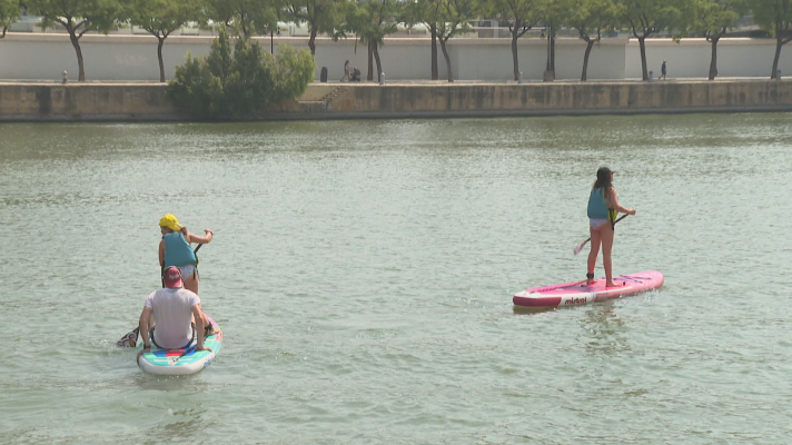 Paddle surf, un deporte para todos