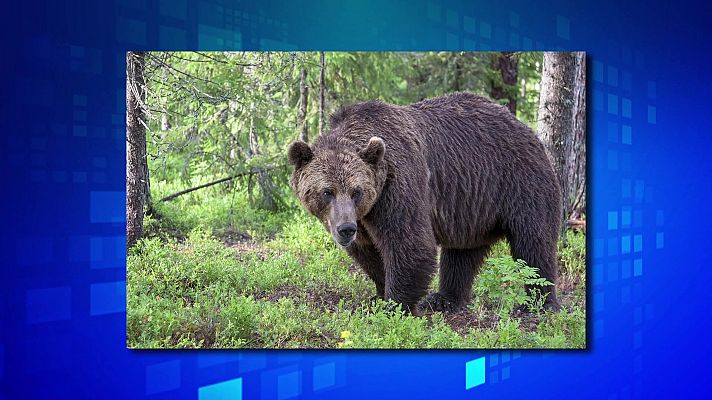 Saber y ganar - Saber y ganar. Edición de fin de semana - 08/07/23