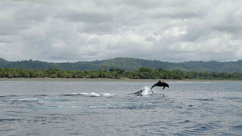 Españoles en el mundo - Costa Rica, pura vida - Ver ahora