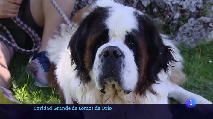 Informativo Telerioja - Informativo Telerioja 2 - 03/07/23