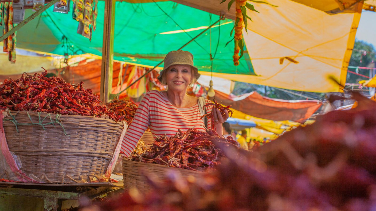 La aventura en la ruta de las especies der Joanna Lumley - Episodio 2: India