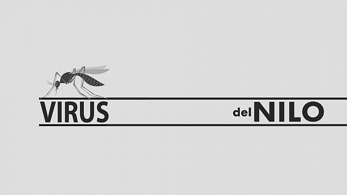 Noticias Andalucía - Virus del Nilo