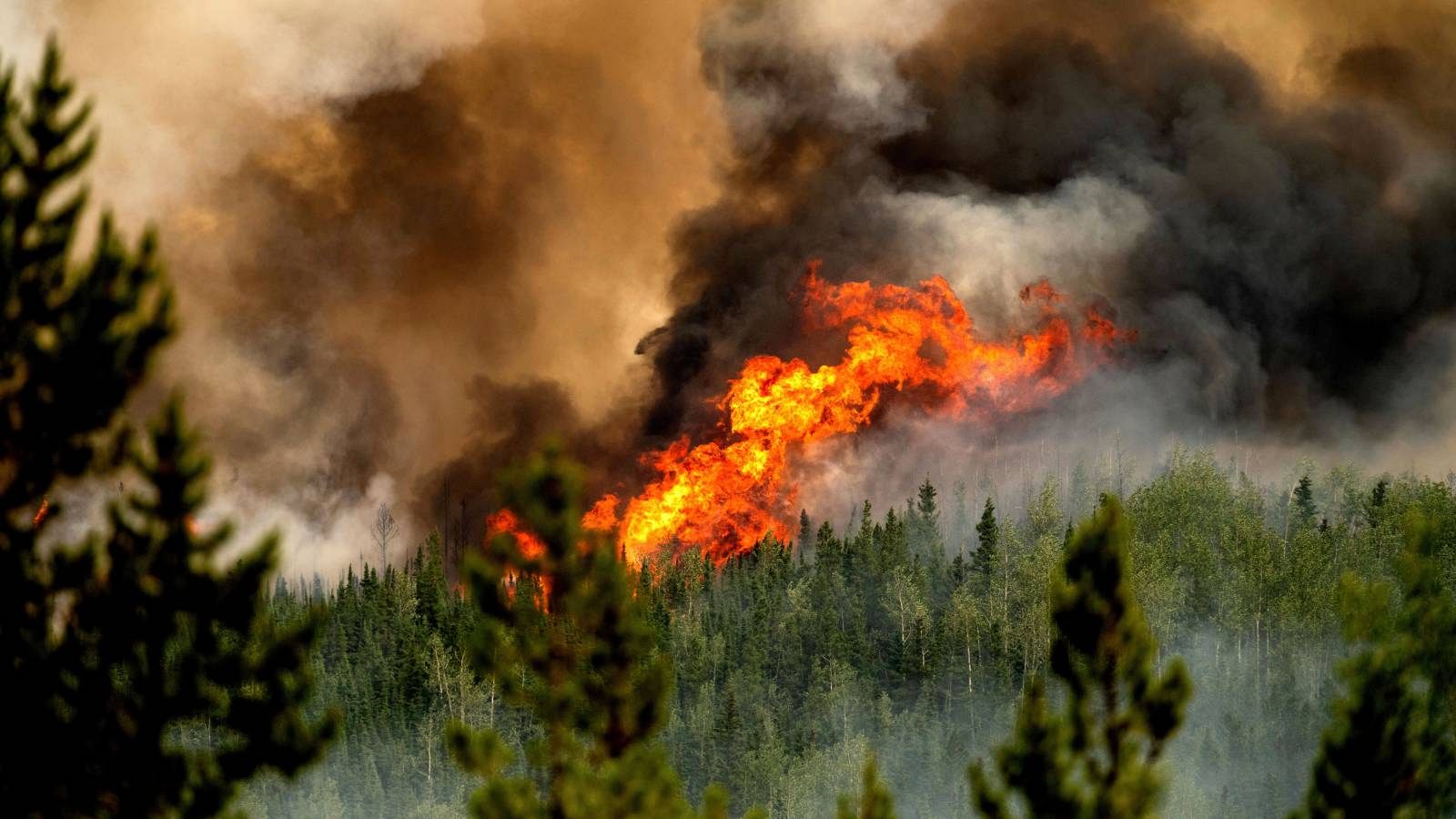 Los bomberos recuerdan la lucha contra los incendios en Canadá