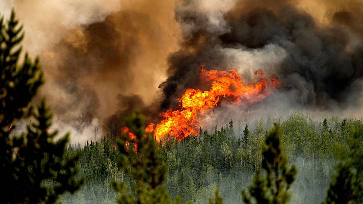 Telediario 1 - Los bomberos españoles recuerdan la lucha contra los incendios en Canadá: "Era muy difícil de controlar"