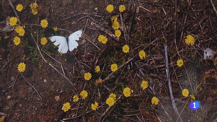 Informativo Telerioja - Informativo Telerioja 2 - 04/07/23