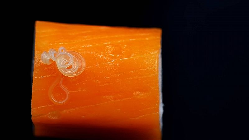 ¿Cuál es el pescado fresco más seguro, libre de mercurio y anisakis? - Saber vivir | Ver