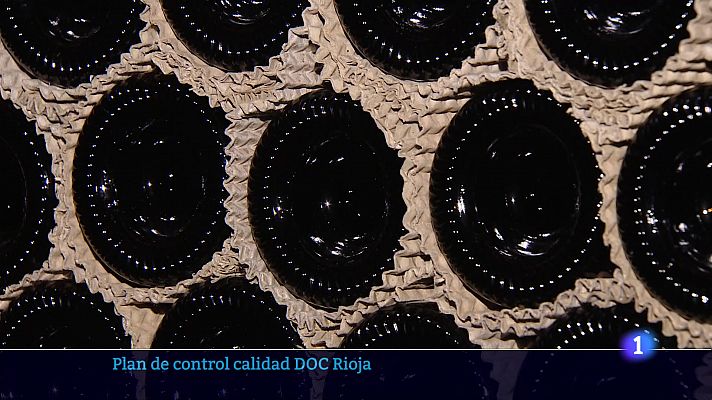 Informativo Telerioja - Informativo Telerioja  - 05/07/23