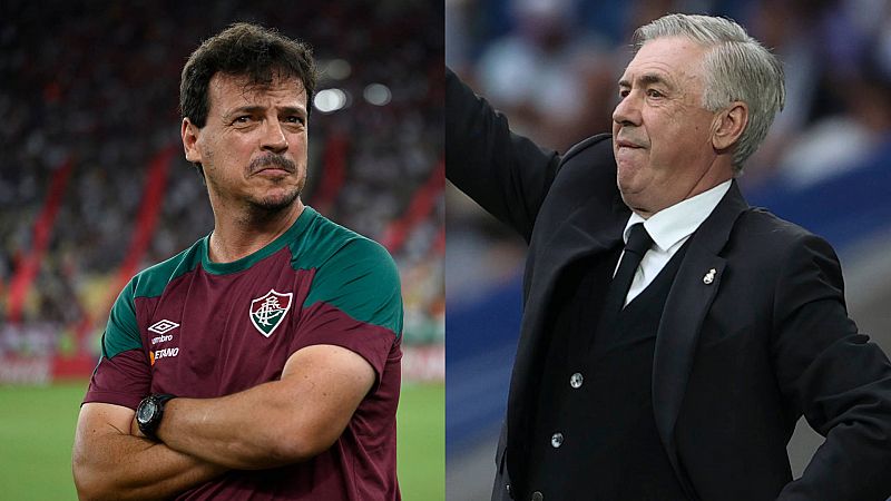 Brasil ficha a Diniz como seleccionador interino hasta que Ancelotti llegue dentro de un año -- Ver ahora