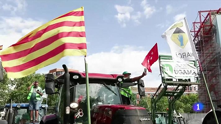 La pagesia protesta a Madrid 