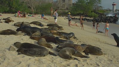 La coexistencia, ¿es posible?