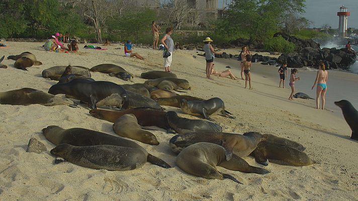 Las Galapagos, la frontera del mundo - La coexistencia, ¿es posible?