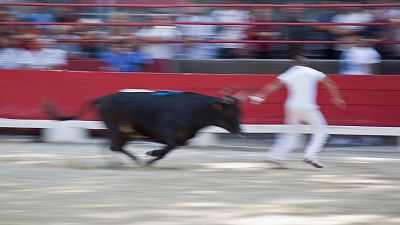 Miguel Reta, pastor: "Nuestra principal labor es proteger al toro que va a ser lidiado a la tarde"