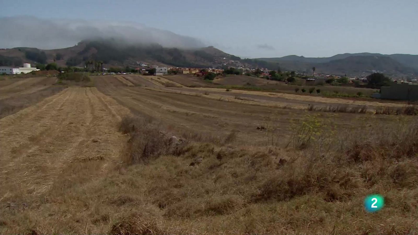 Telecanarias 2 - 05/07/2023 | Ver