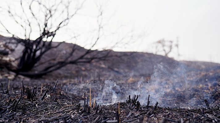 Telediario 1 - Autoprotección y prevención de incendios en Extremadura