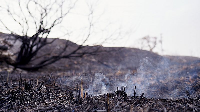Fincas en Extremadura se preparan para protegerse de los incendios y prevenir el fuego