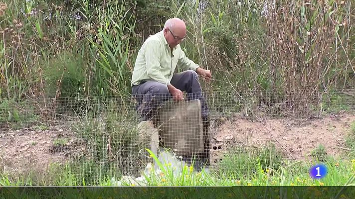 L'Informatiu - L'Informatiu 2 - 06/07/2023