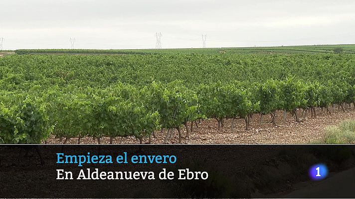 Informativo Telerioja - Informativo Telerioja 2 - 06/07/23