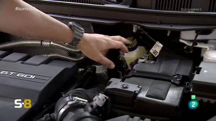 Somos 8 - Somos 8 - 06/07/2023