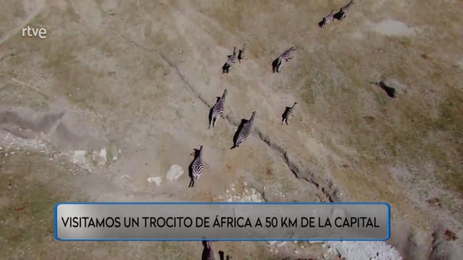 Trabajadores de safari en Madrid - Aquí hay trabajo | Ver