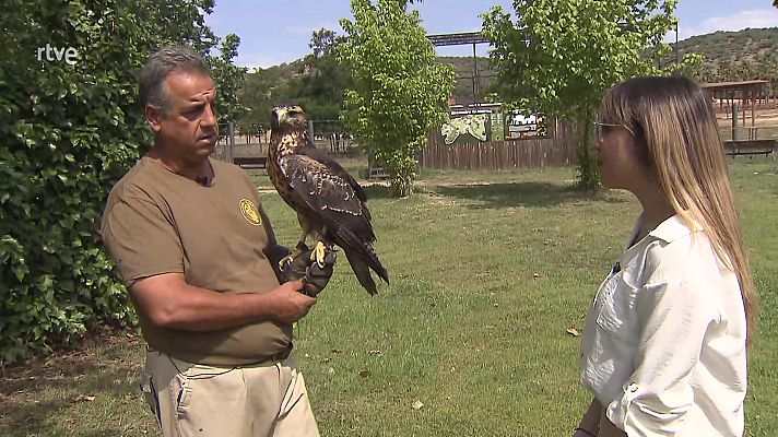 Aquí hay trabajo - Aquí hay trabajo - 07/07/23