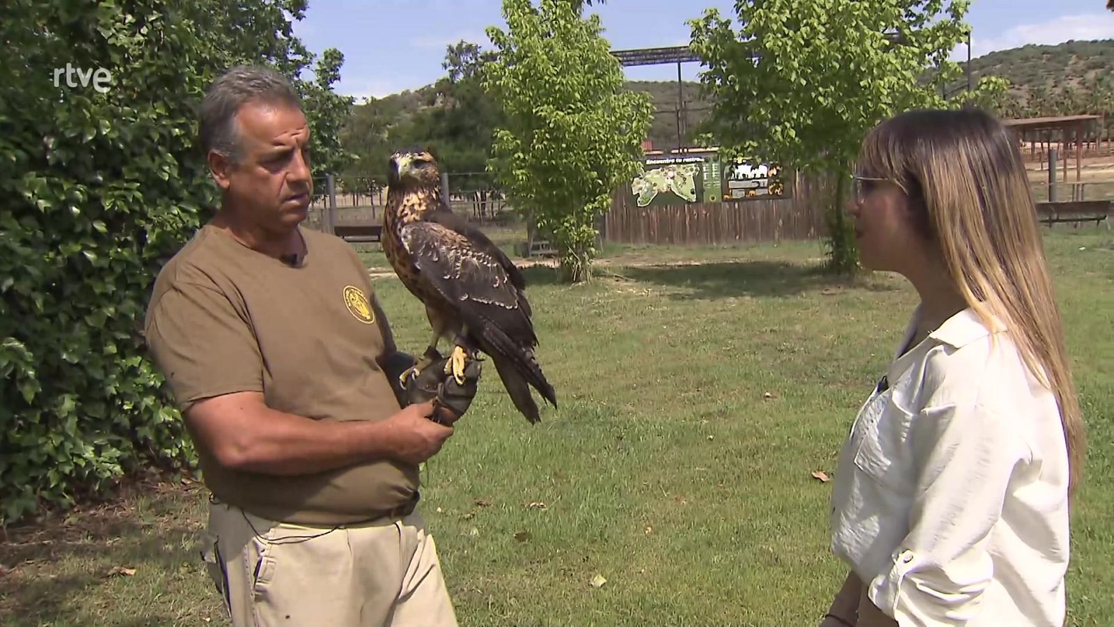 Aquí hay trabajo - 07/07/23 - ver ahora