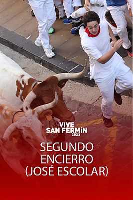 Segundo encierro de San Fermín 2023 con toros de José Escolar