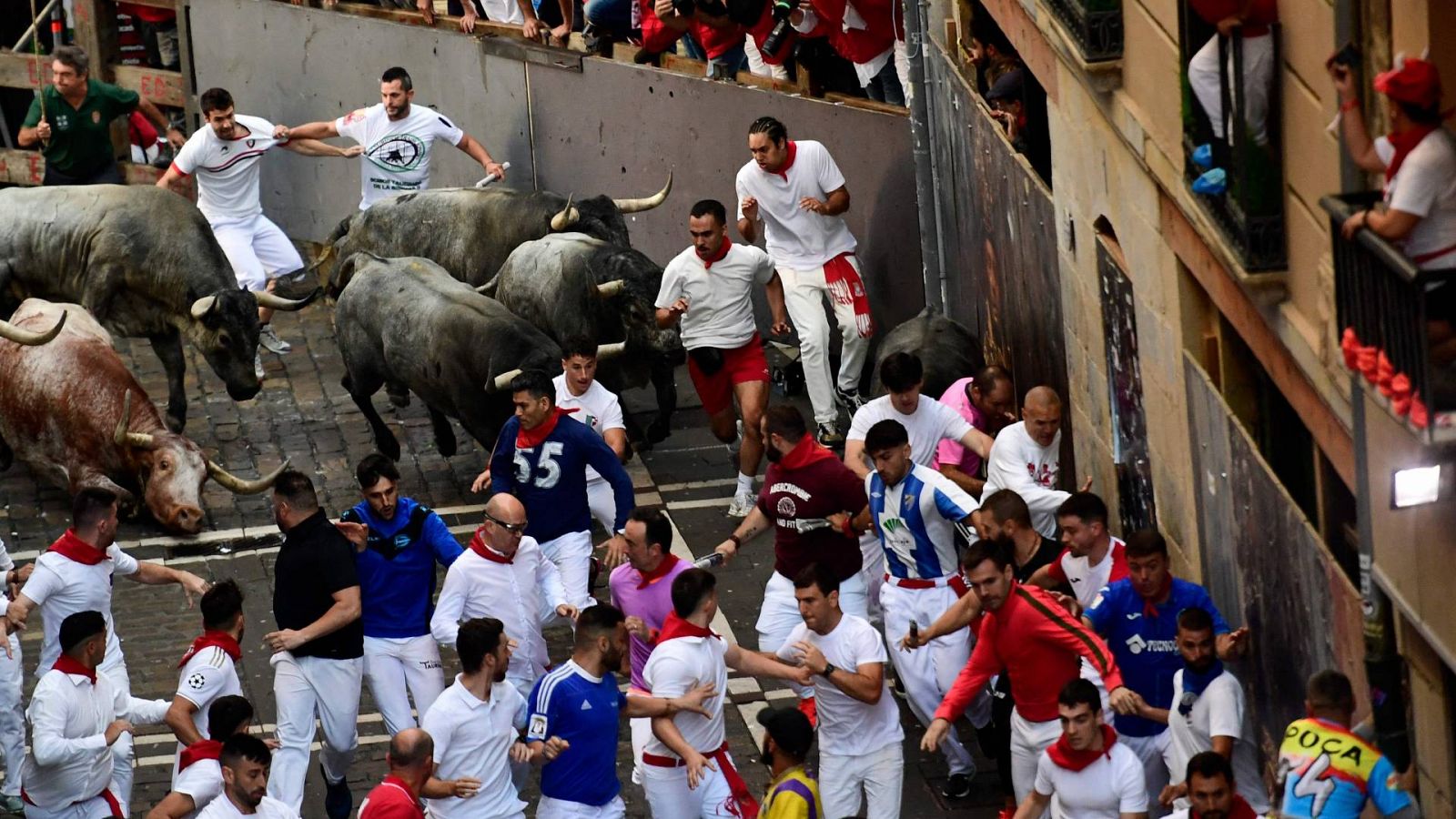 Segundo encierro de San Fermn 2023 con toros de Jos Escolar