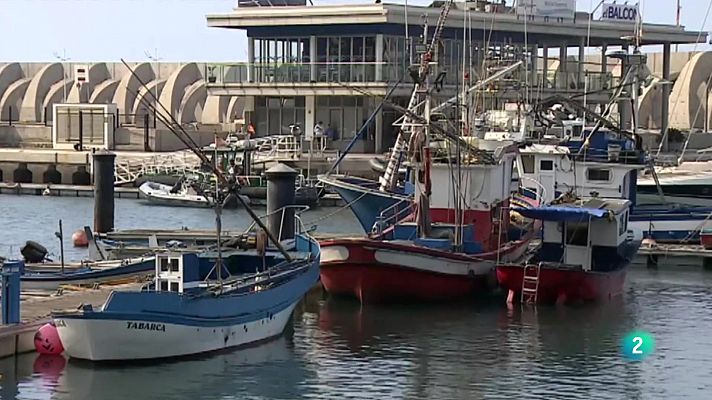 Telecanarias - Telecanarias 2 - 07/07/2023