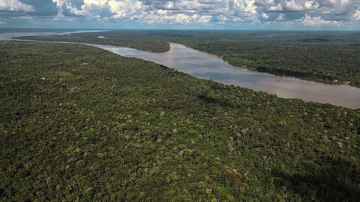 Telediario Fin de Semana - La minería y la ganadería ilegal impulsan la deforestación del Amazonas