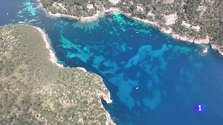 Las olas de calor también sacuden los océanos